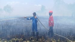 Kebakaran Lahan di Tanjung Palas Hanguskan Lebih dari 100 Hektare, Ribuan Ayam Warga Ikut Terdampak
