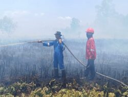 Kebakaran Lahan di Tanjung Palas Hanguskan Lebih dari 100 Hektare, Ribuan Ayam Warga Ikut Terdampak