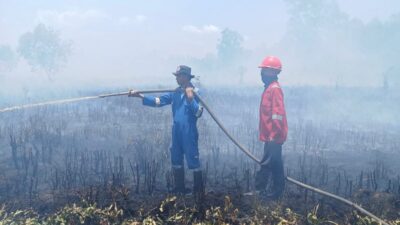 Kebakaran Lahan di Tanjung Palas Hanguskan Lebih dari 100 Hektare, Ribuan Ayam Warga Ikut Terdampak
